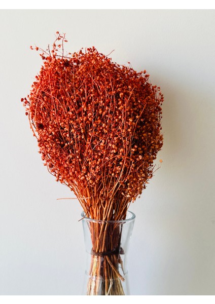 Kuru Çiçek Turuncu Kalp Otu Demeti Vazo Çiçeği