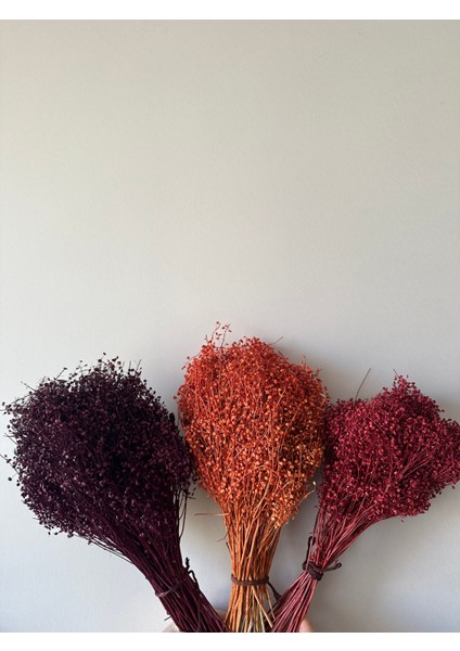 Kuru Çiçek Turuncu Kalp Otu Demeti Vazo Çiçeği modelleri