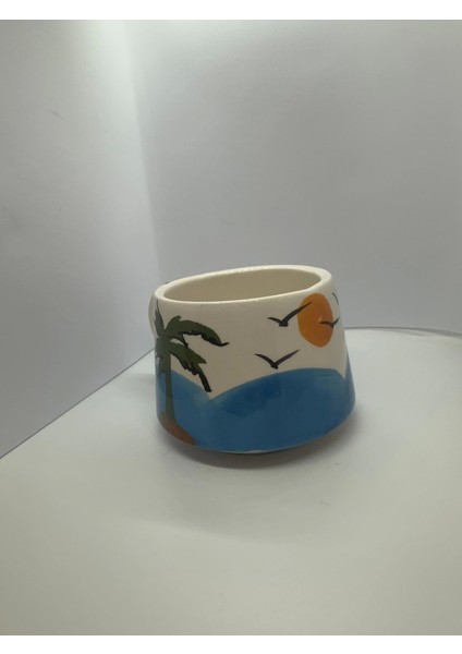 Palmiye Kupa fiyatları