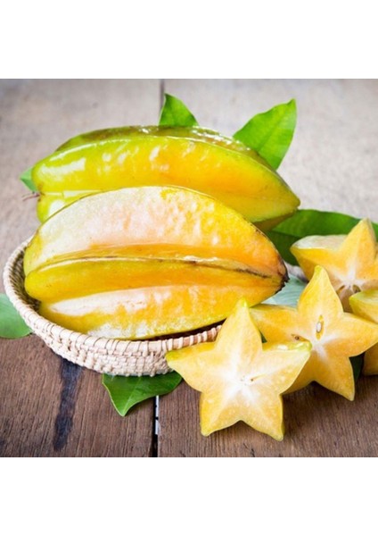 20 Lt Saksıda Meyve Verir Durumda Carambola (Yıldız Meyvesi) Fidanı