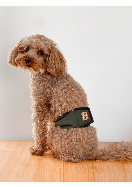 Erkek Köpek Çiş Bezi, Erkek köpek külot, Haki