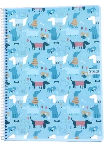 96 Yaprak A4 Kareli Defter 2 Adet