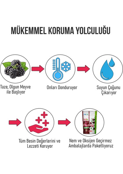 Freeze Dried Blackberry 15 gr Dondurularak Kurutulmuş Çıtır Böğürtlen Atıştırmalık 3 Adet