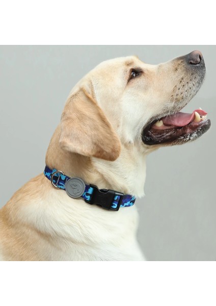 Dog.ist Camo Premium Sürdürülebilir Küçük ve Büyük Irk Köpek Boyun Tasması fiyatları