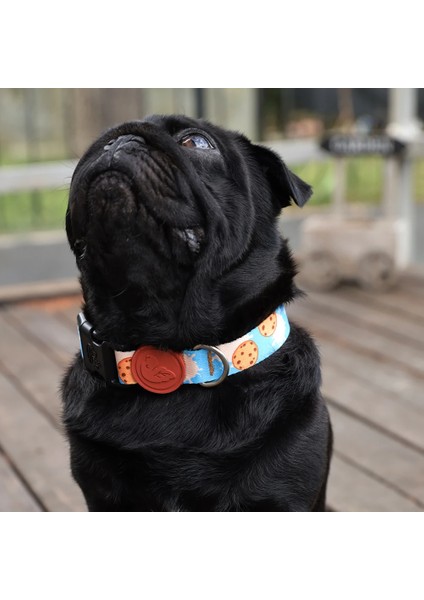 Dog.ist Cookie Cow Premium Sürdürülebilir Küçük ve Büyük Irk Köpek Boyun Tasması