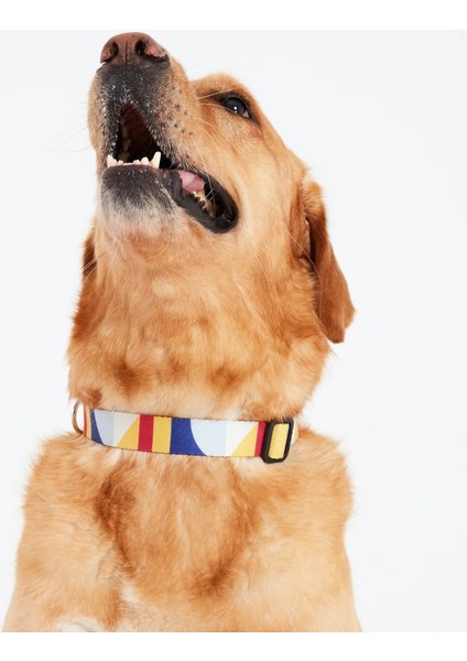 Dog.ist Geometric Premium Sürdürülebilir Küçük ve Büyük Irk Köpek Boyun Tasması fiyatları