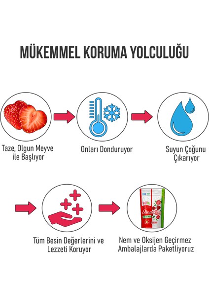 Freeze Dried Strawberry 15 gr Dondurularak Kurutulmuş Çıtır Çilek Atıştırmalık 10 Adet