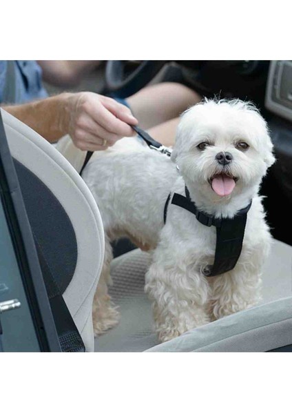 Kedi ve Köpek Araç Emniyet Kemeri Tasması Yavru Evcil Hayvan Tasması Araba Kemer Seyahat Aksesuarı