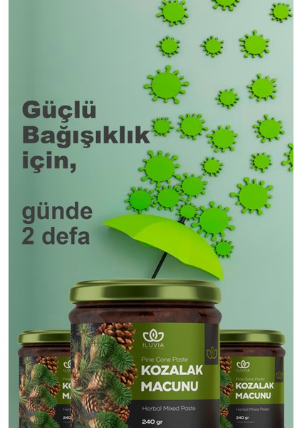 Iluvia Kozalak Macunu Çam Kozalağı Macunu Keçiboynuzu, Karamürver, Zencefil, Zerdeçal 240GR