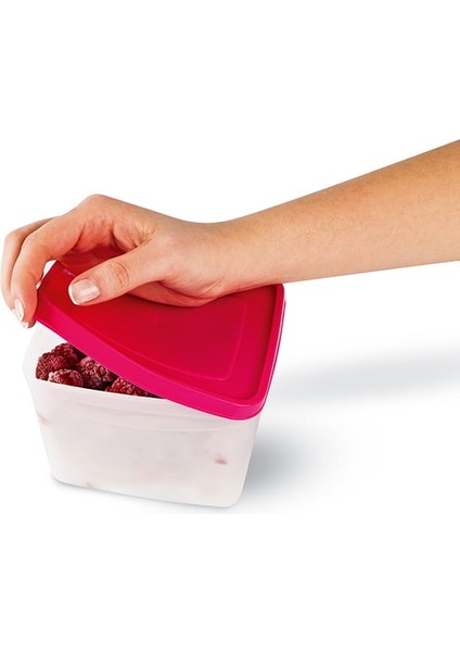 Derin Dondurucu Saklama Kabı 0,65 Lt