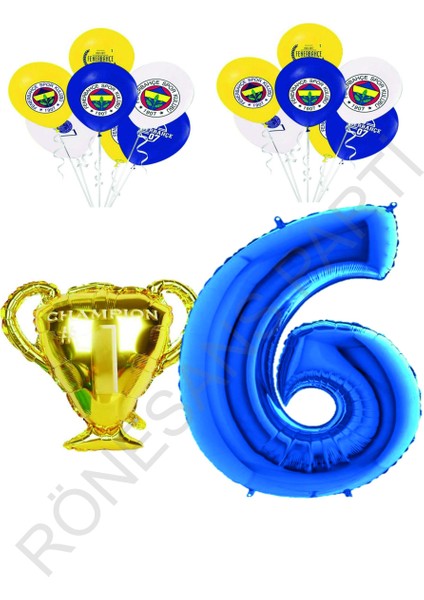 Fenerbahçe Sarı Lacivert Doğum Günü Konsepti Yaş 6