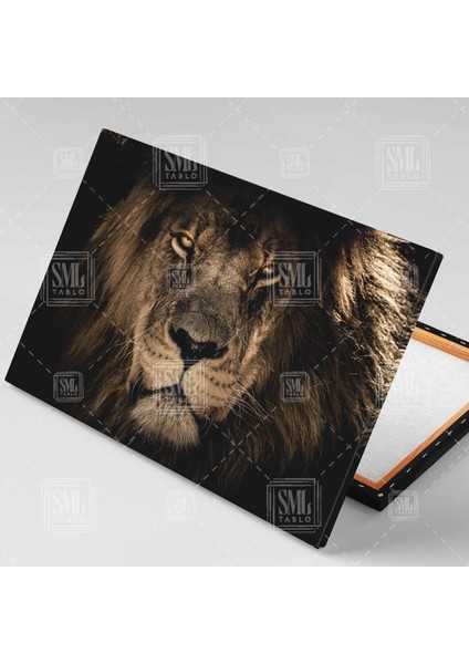 Ormanlar Kralı Aslan Karizmatik Hayvan Safari Afrika Yatay Kanvas Tablo