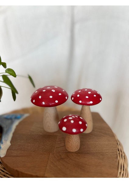 Mantar Biblo 3 lü set