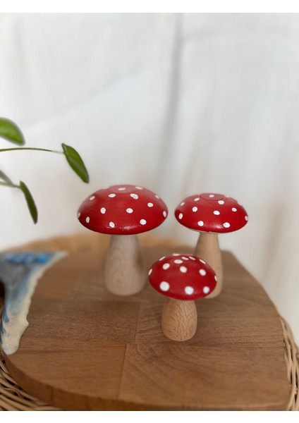 Mantar Biblo 3 lü set fiyatları