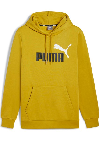 Ess+ 2 Col Big Logo Hoodie Erkek Sweatshirt