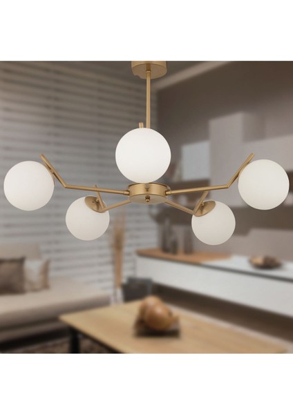 Sara 5li Eskitme Boyalı Beyaz Camlı Modern Genç Odası Yemek Masası Üstü Salon Avize