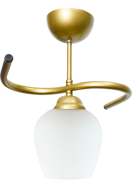 Fuji Salon - Mutfak - Yatak Odası - Hol - Renk Camlı Tekli Avize