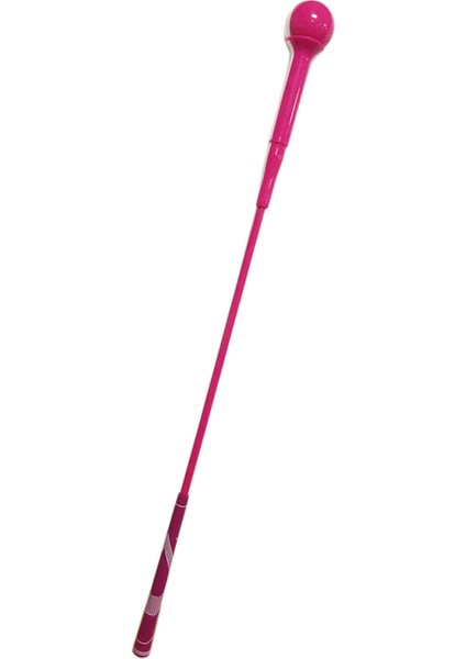 Golf Salıncak Uygulama Aksesuarları Pozisyon Düzeltme Ritmi 120CM (Yurt Dışından) fiyatları