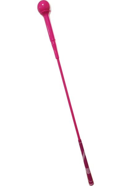 Golf Salıncak Uygulama Aksesuarları Pozisyon Düzeltme Ritmi 120CM (Yurt Dışından) modelleri