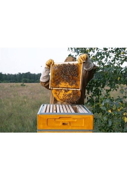 Bee Hive Probiyotikli Arı Kovan Solüsyonu 1 Lt