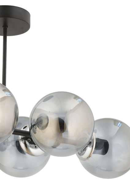 Hira 6'lı Siyah Füme Glob Camlı Modern Plafonyer Salon Yemek Masası Üstü Avize fiyatları