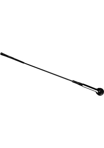 Golf Salıncak Uygulama Eğ Egzersiz Eğ Esneklik Hı (Yurt Dışından)