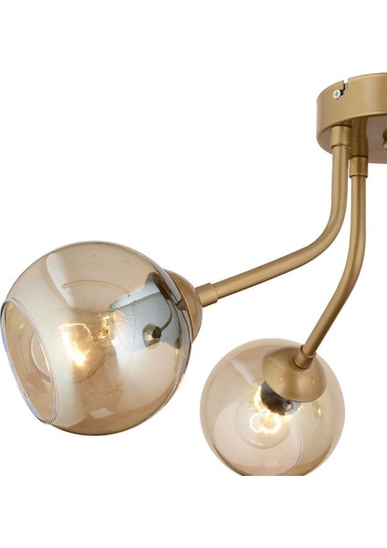 David 4lü Eskitme Bal Camlı Modern Genç Odası Mutfaksalon Avize