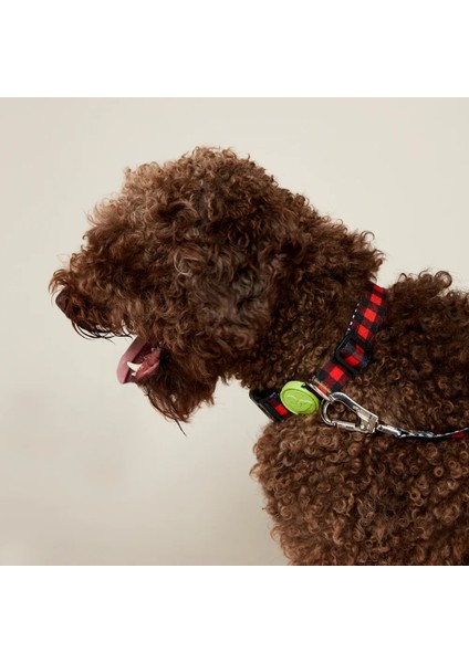 Dog.ist Plaid Premium Sürdürülebilir Küçük ve Büyük Irk Köpek Boyun Tasması