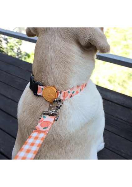 Dog.ist Peachy Premium Sürdürülebilir Küçük ve Orta Irk Köpek Boyun Tasması