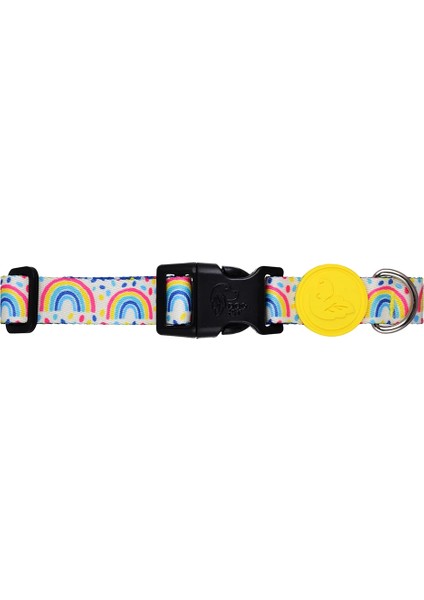 Dog.ist Rainbow Dash Premium Sürdürülebilir Küçük ve Büyük Irk Köpek Boyun Tasması