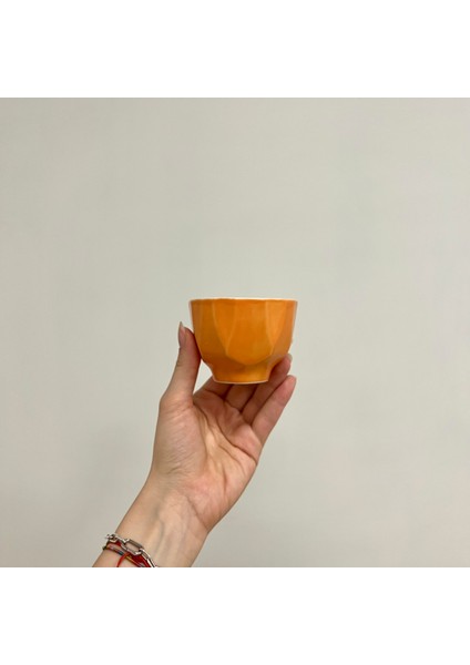 Iroh Porselen Fincan fiyatları