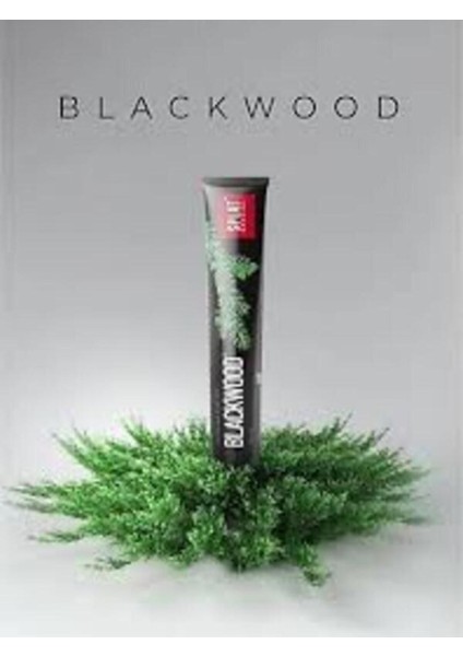 Splat Blackwood Siyah Diş Macunu 2 x 75 ml