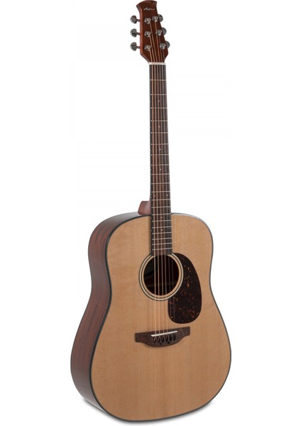 Applause AAD-96-4 Akustik Gitar