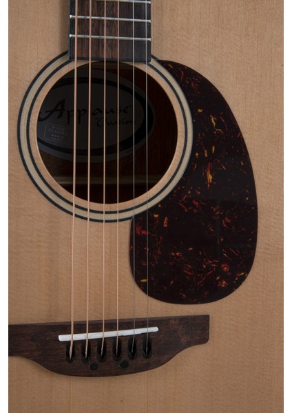Applause AAD-96-4 Akustik Gitar indirimleri