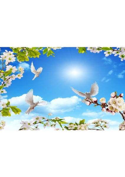 Gergi Tavan fiyatları