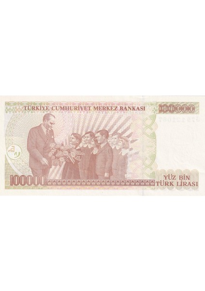 7.emisyon 3.tertip 100.000 Tl Çil modelleri