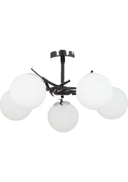 Ferma 5'li Beyaz Glop Camlı Modern Avize fiyatları