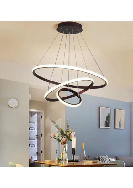 TT300-3 Sy Halka 3 Lü Mat Siyah ( 3 Renk Modüllü ) LED Avize