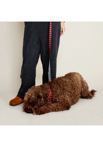 Dog.ist Plaid Premium Sürdürülebilir Küçük ve Büyük Irk Köpek Gezdirme Kayışı