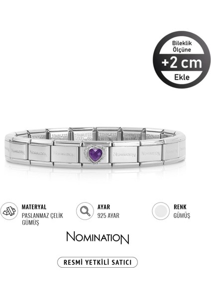 Italy Composable 925 Ayar Gümüş Zirkon Taşlı Mor Kalp ve Çelik Bileklik Silver