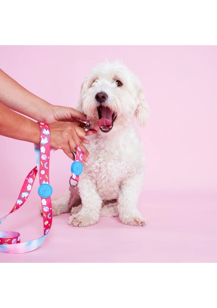 Dog.ist Follow Your Unicorn Premium Sürdürülebilir Orta ve Büyük Irk Köpek Gezdirme Kayışı
