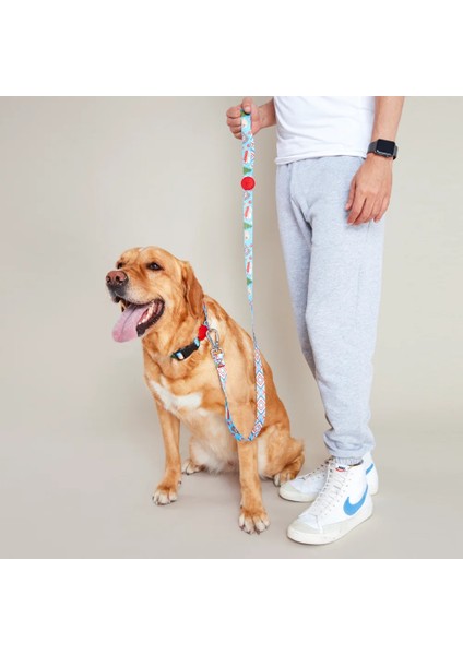 Dog.ist Happy Camper Premium Sürdürülebilir Küçük ve Büyük Irk Köpek Gezdirme Kayışı
