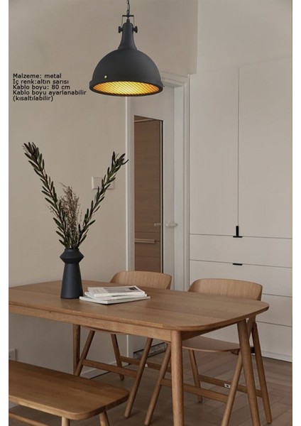 Acera Siyah Avize Tekli Modern Dekoratif Sarkıt Lamba Resatoran Showroom Fitness Ana Okulu Ev fiyatları