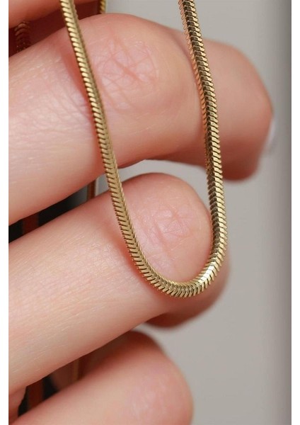 14 K Gold Kaplama 925 Ayar Gümüş Choker Kolye • Balık Sırtı Choker Kolye modelleri