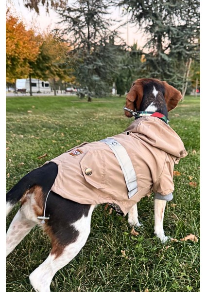 Bej Köpek Yağmurluğu, Reflektörlü Su Geçirmez Yağmurluk, Köpek Kıyafeti Köpek Yağmurluk