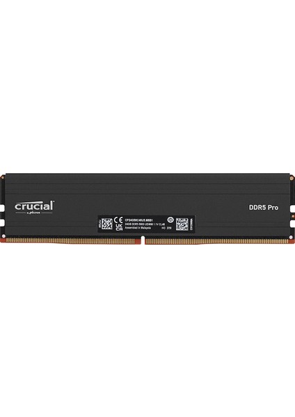 Pro 24GB (1X24GB) Ddr5 5600MHZ CP24G56C46U5