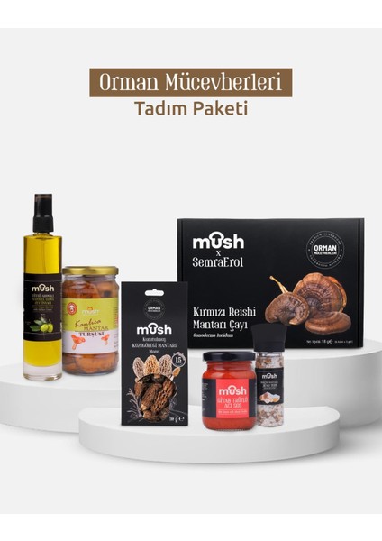 Orman Mücevherleri Tanışma Seti