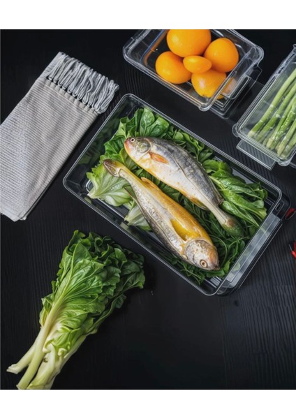 Star Fresh Serisi Plastik Kapaklı Buzdolabı Saklama Kabı 8 Lt Hacim 30*20*15 cm modelleri