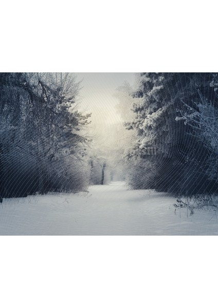 Karlı Ormanda Doğal Atmosfer Stüdyo Fonu 200X150CM Arka Plan