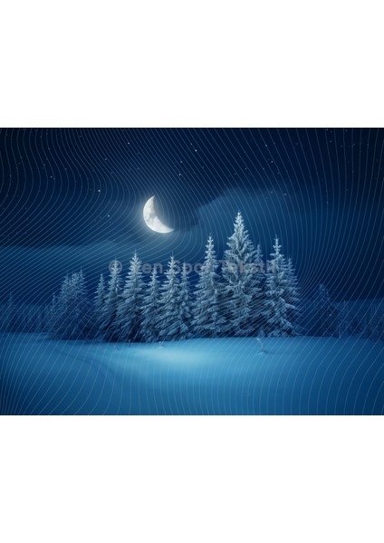 Büyüleyici Gece Ormanında Ay Manzaralı Arka Plan Stüdyo Fonu 200 x 150 cm